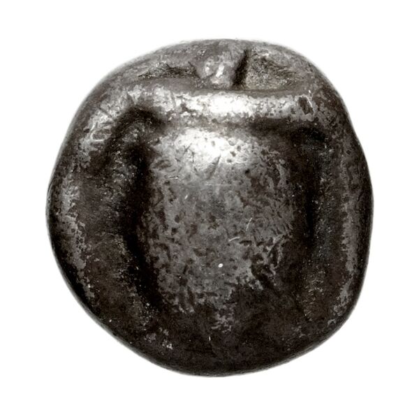 Poseidonia Historia Numorum Italy 1171-9, аверс, BnF (IRIS)
