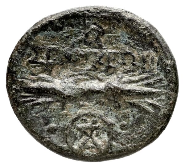 Seleuceia Pieria BMC Seleuceia in Pieria 5-6, реверс, bnf-iris
