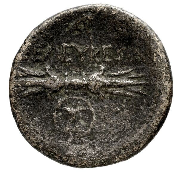 Seleuceia Pieria BMC Seleuceia in Pieria 5-6, реверс, bnf-iris