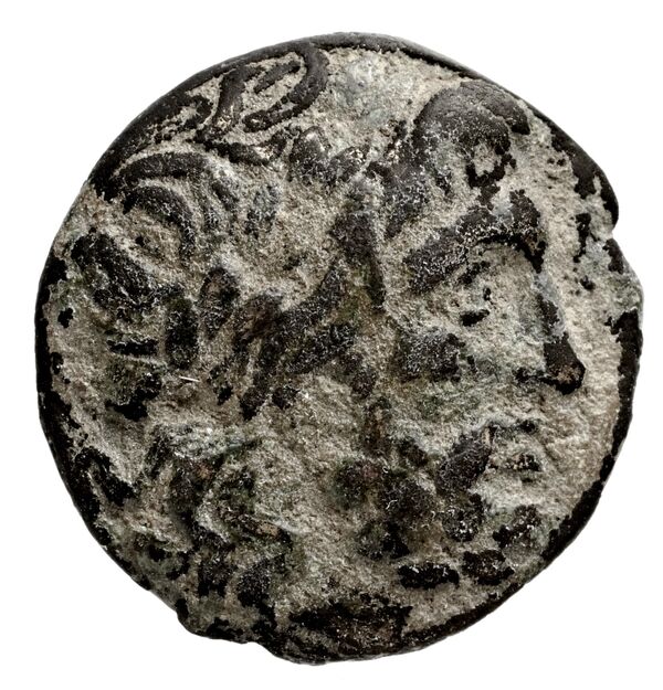 Seleuceia Pieria BMC Seleuceia in Pieria 5-6, аверс, bnf-iris