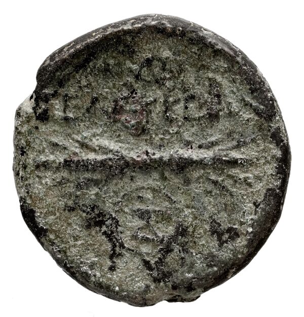 Seleuceia Pieria BMC Seleuceia in Pieria 5-6, реверс, bnf-iris