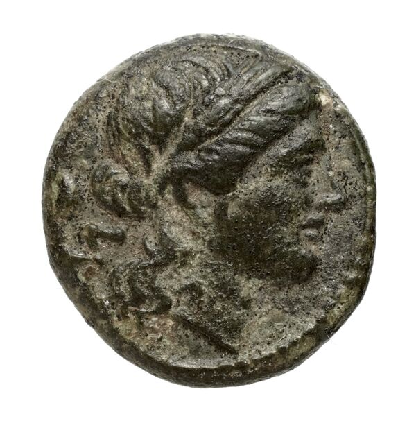 Seleuceia Pieria BMC Seleuceia in Pieria 11-13, аверс, bnf-iris
