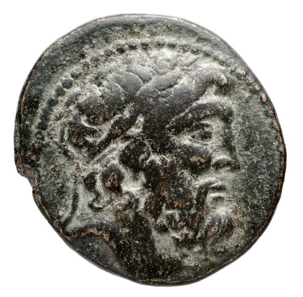 Seleuceia Pieria Butcher 2004 Type A, аверс, bnf-iris