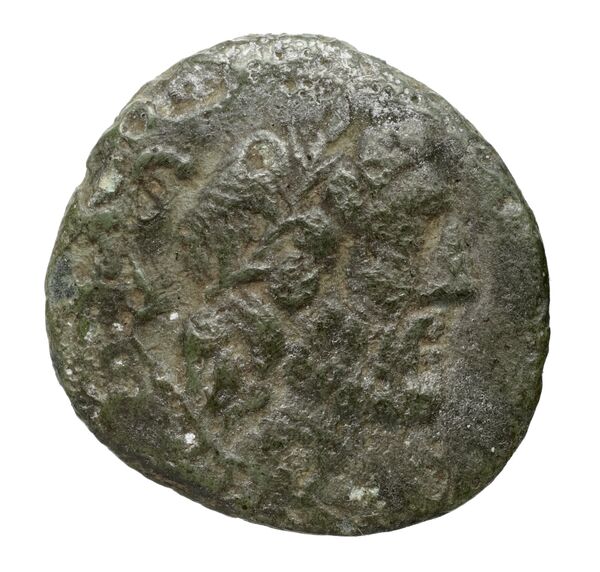 Seleuceia Pieria BMC Seleuceia in Pieria 16-23, аверс, bnf-iris
