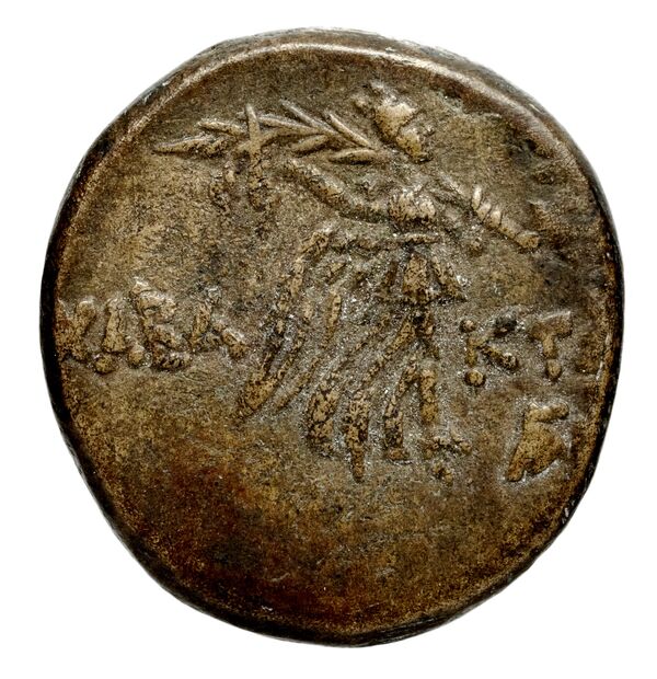 Seleuceia Pieria BMC Seleuceia in Pieria 16-23, реверс, bnf-iris