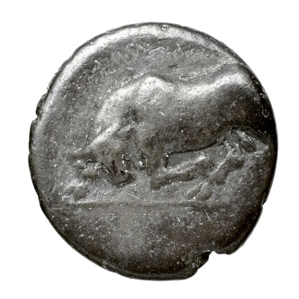 Phlius BMC Phlius 18-22, аверс, BnF (IRIS)