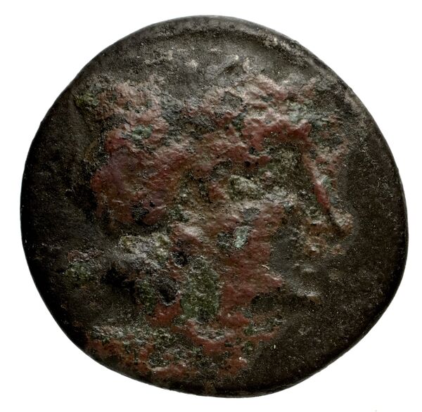 Lebedus SNG Von Aulock 2026, аверс, bnf-iris
