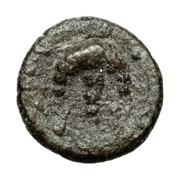 Lebedus SNG Von Aulock 2026, реверс, bnf-iris