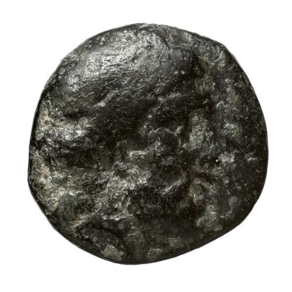 obverse Laodiceia SNG Paris 1849