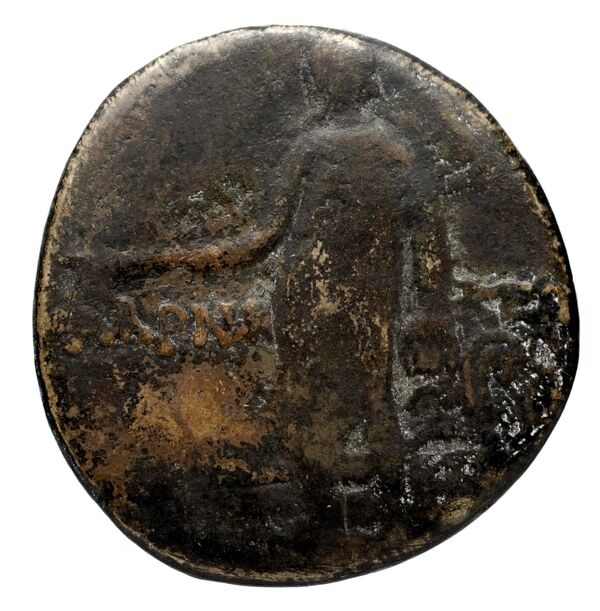 Aegina Meadows and Askari, forthcoming 1b, реверс, bnf-iris