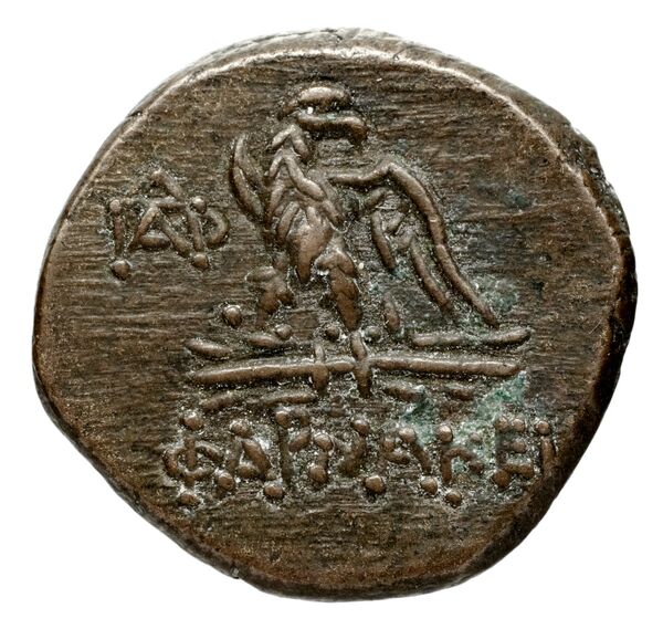 реверс Rhodes Ashton 2001 67-80