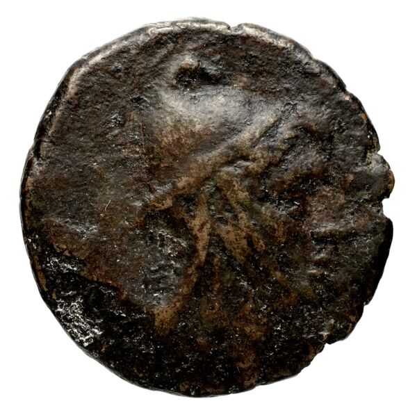 аверс Lebedus Kinns 1980 Period III, AE 9