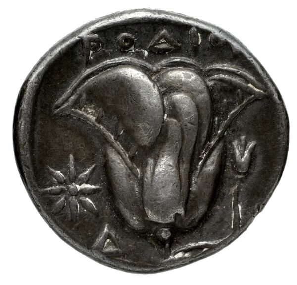 Lebedus Kinns 1980 Period I, AE 5, реверс, bnf-iris
