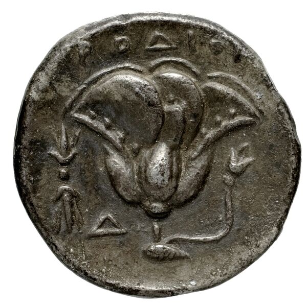Lebedus Kinns 1980 Period I, AE 5, реверс, bnf-iris