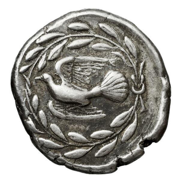 Sicyon BMC Sicyon 22-5; 30-3, реверс, bnf-iris