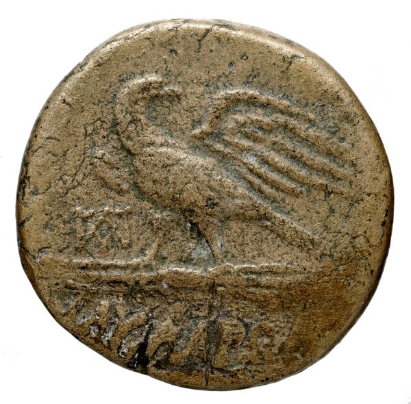 Rhodes Ashton 2001 180-7, реверс, bnf-iris