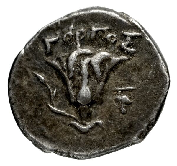 Sybaris Historia Numorum Italy 1755, реверс, bnf-iris