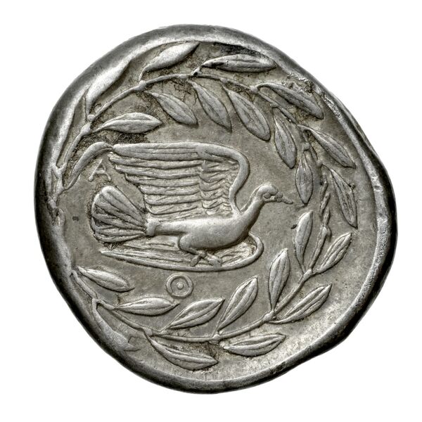 Sicyon BMC Sicyon 46-68, реверс, bnf-iris