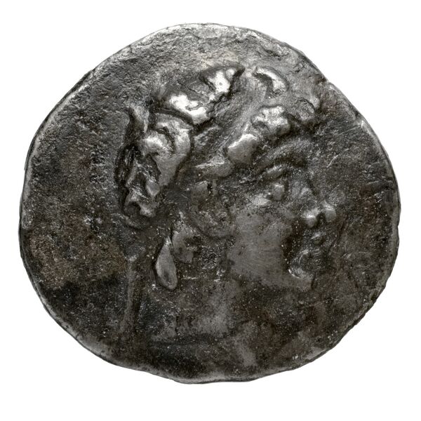 Acrae Puglisi 2009 43, аверс, bnf-iris