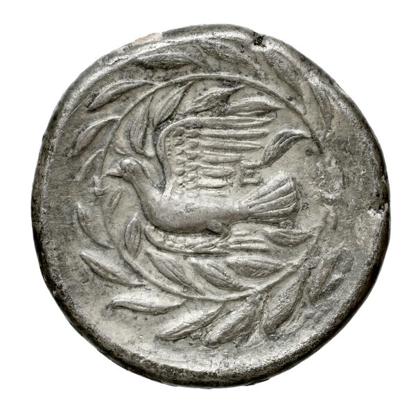 Sicyon BMC Sicyon 26-9, реверс, bnf-iris
