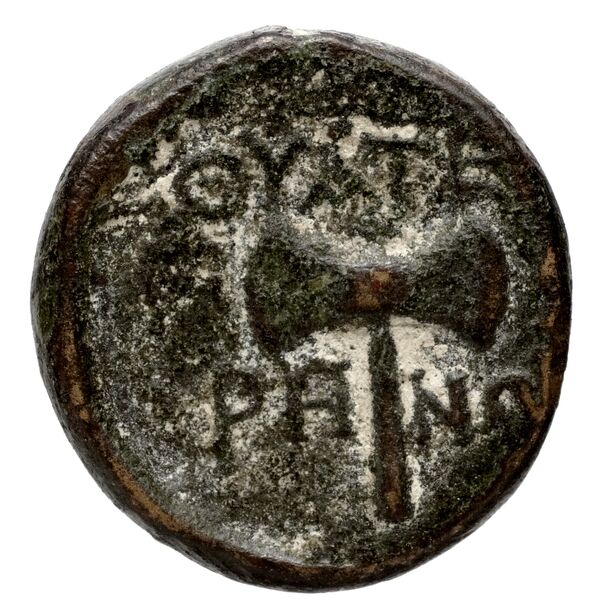 Thyateira Hochard 2020 2.1.2359, реверс, bnf-iris
