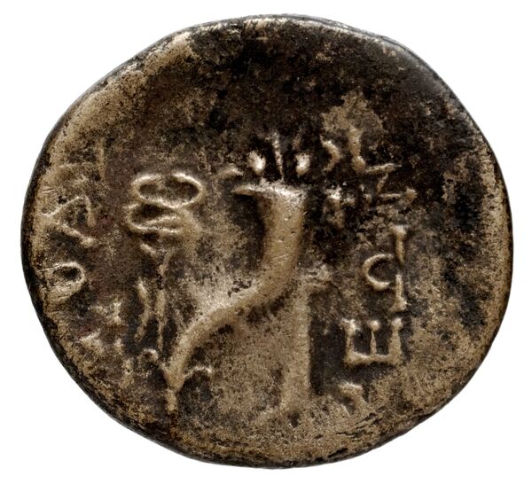 Magnesia ad Maeandrum BMC Magnesia 8-13, реверс, BnF (IRIS)