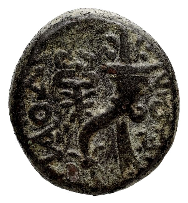 Antigonus II Gonatas Macedon Panagopoulou 2020 9.8.1, реверс, bnf-iris