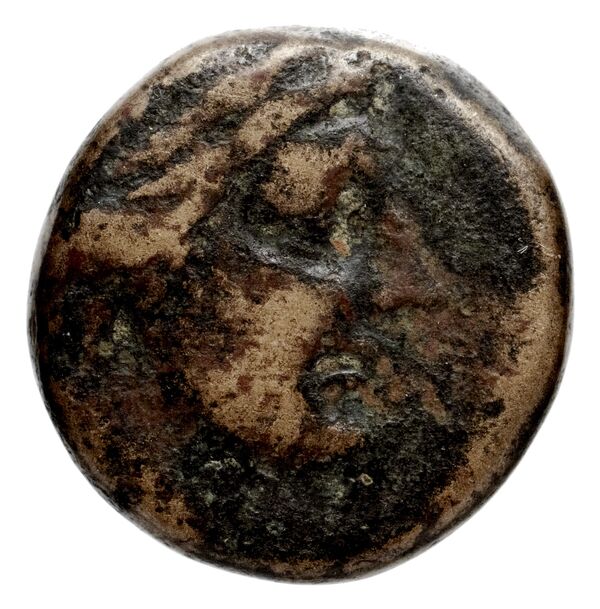 Antigonus II Gonatas Macedon Panagopoulou 2020 9.8.1, аверс, bnf-iris