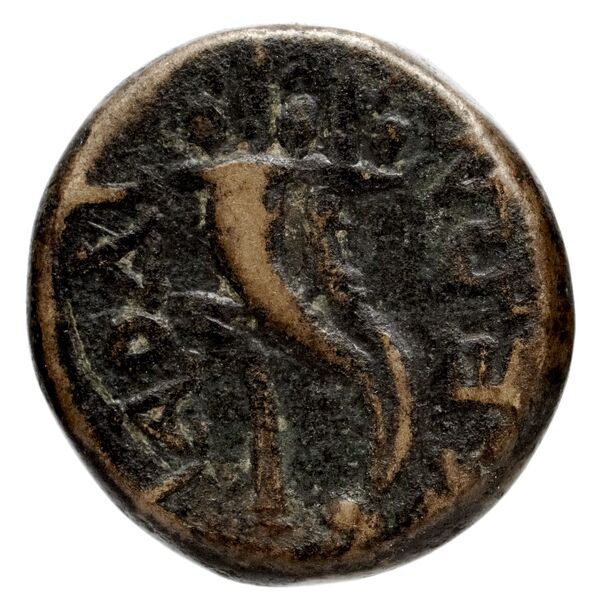Antigonus II Gonatas Macedon Panagopoulou 2020 9.8.1, реверс, bnf-iris