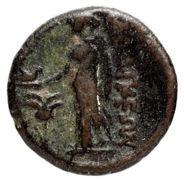 Sicyon BMC Sicyon 46-68, реверс, bnf-iris