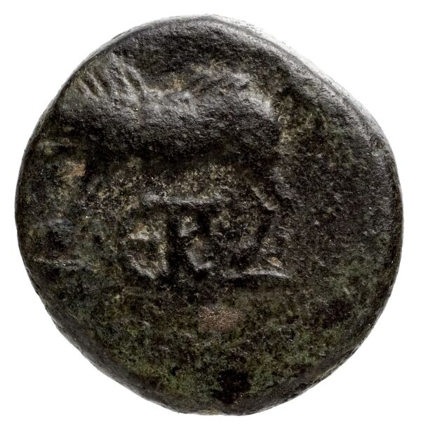 Rhodes Ashton 2001 226-231, аверс, bnf-iris