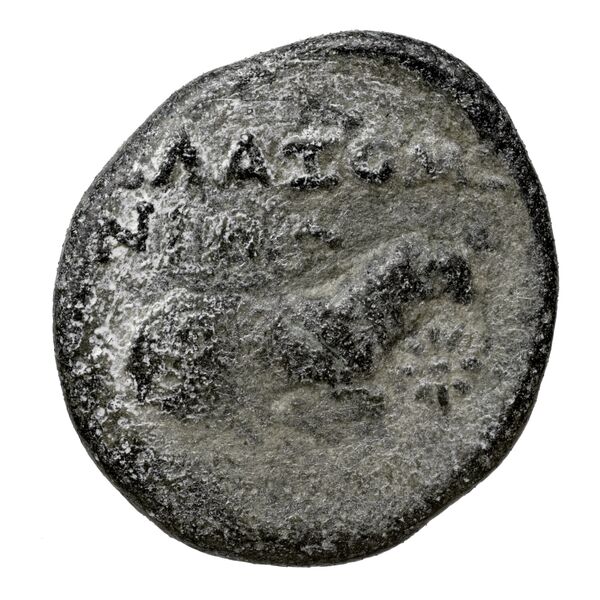'Campani' Capua Historia Numorum Italy 478, реверс, bnf-iris