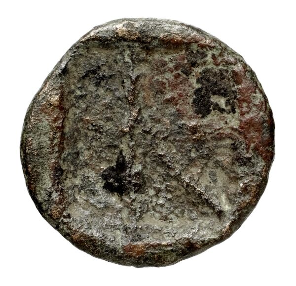 реверс Aegina BMC Aegina pl. XXV, 10