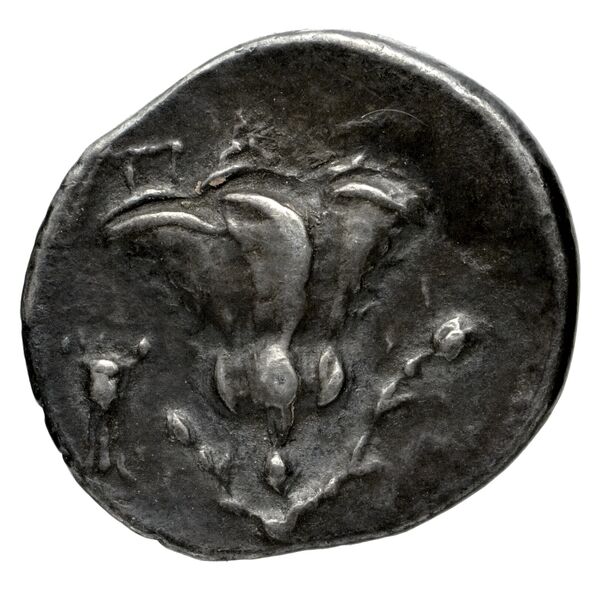 Sicyon Warren 1983 Group 3, реверс, bnf-iris