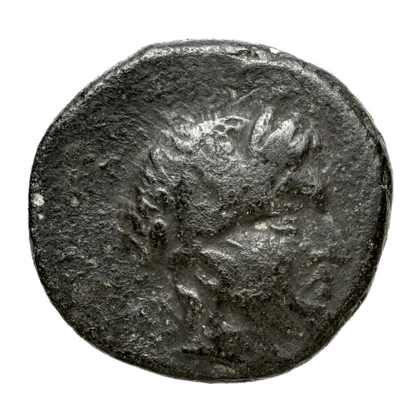 аверс Philip V Macedon AMNG III.2 2