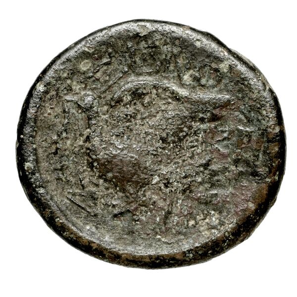 реверс Rhodes Rhodes Ashton 2001 333