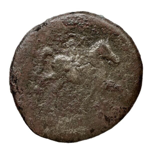 Ascalon BMC Ascalon 7-13, реверс, bnf-iris