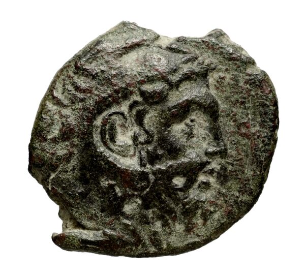 Velia Historia Numorum Italy 1259, аверс, bnf-iris