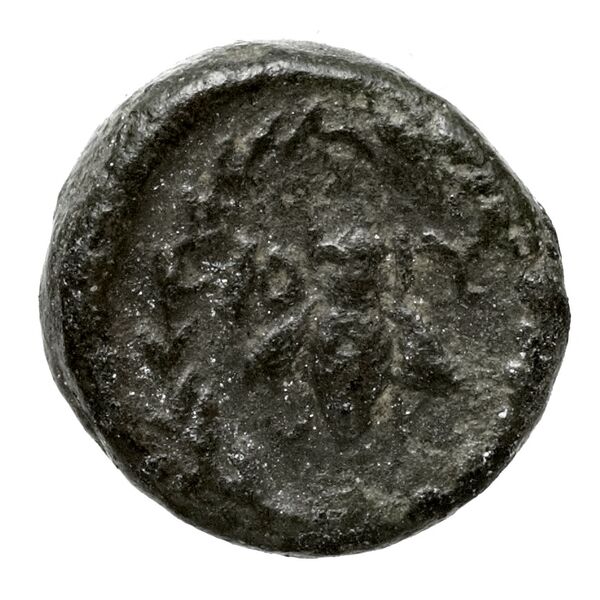 Ascalon BMC Ascalon 7-13, реверс, bnf-iris