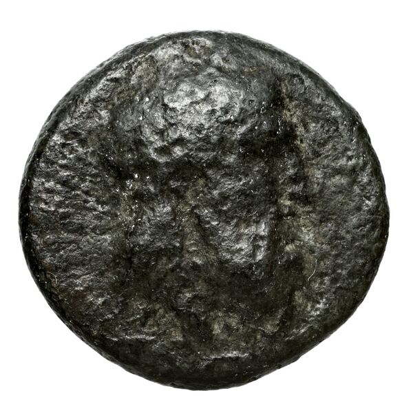 Philip V Macedon AMNG III.2 20-21, аверс, bnf-iris