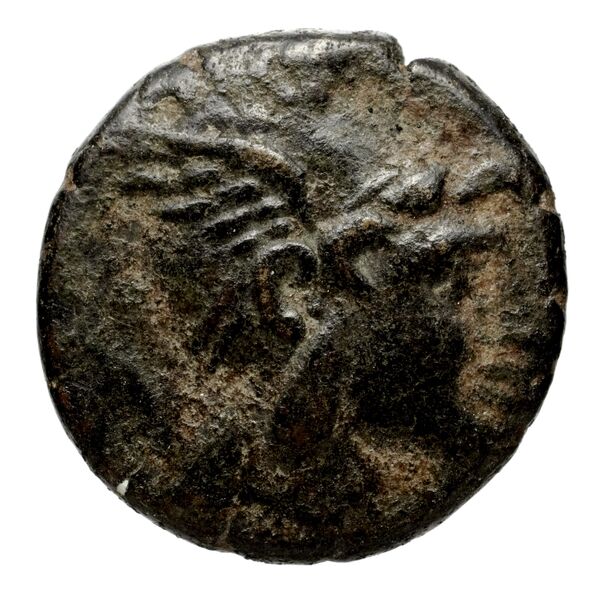Tragilus AMNG III.2 6-8, аверс, bnf-iris
