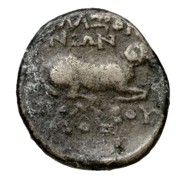 Cyme BMC Cyme 87, реверс, bnf-iris