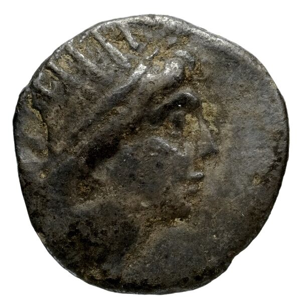 Syracuse Puglisi 2009 311, аверс, bnf-iris