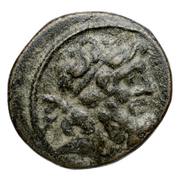 Syracuse Puglisi 2009 311, аверс, bnf-iris