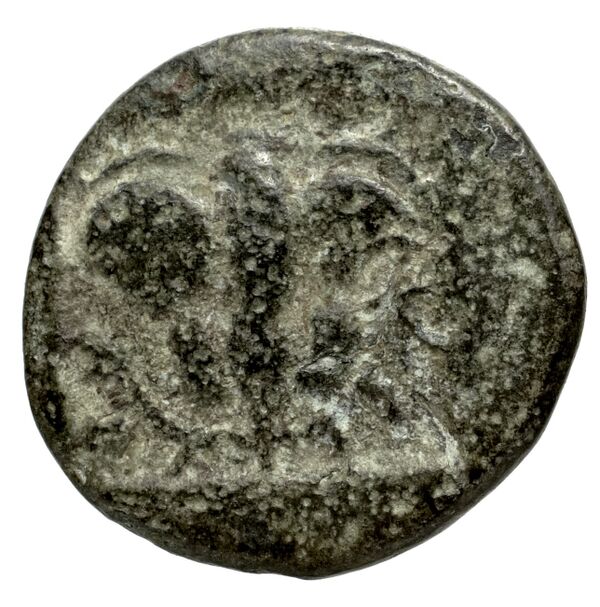 Velia Historia Numorum Italy 1289-94, 1296-98, реверс, bnf-iris