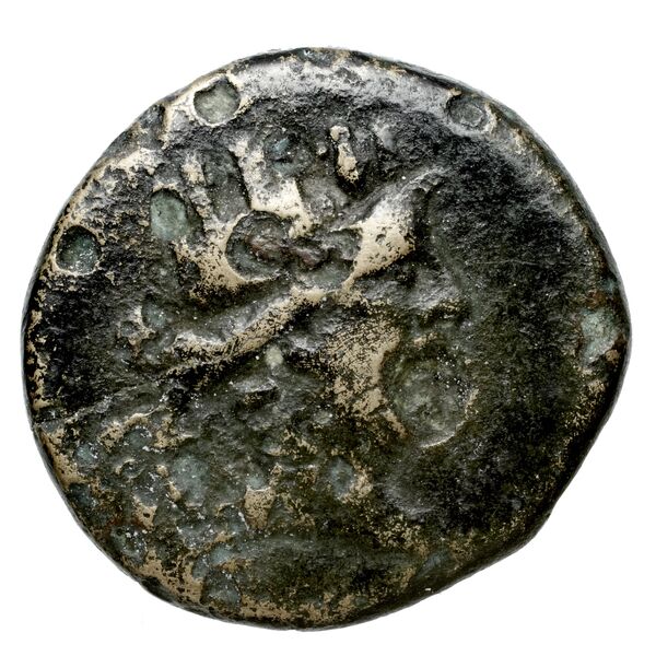 Velia Historia Numorum Italy 1289-94, 1296-98, аверс, bnf-iris