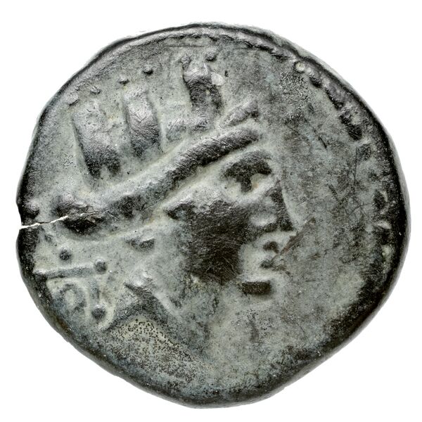 аверс Bottiaei Macedon Gatzolis et Psoma 2009 Pl. 1.9