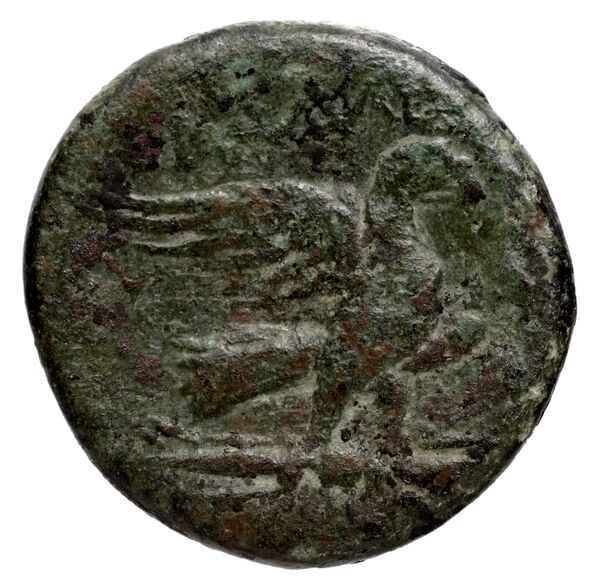 Rhodes Ashton 2001a Issue 4, реверс, bnf-iris