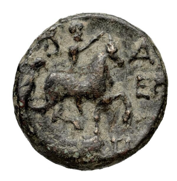 Tralles BMC Tralles 56-8, реверс, bnf-iris