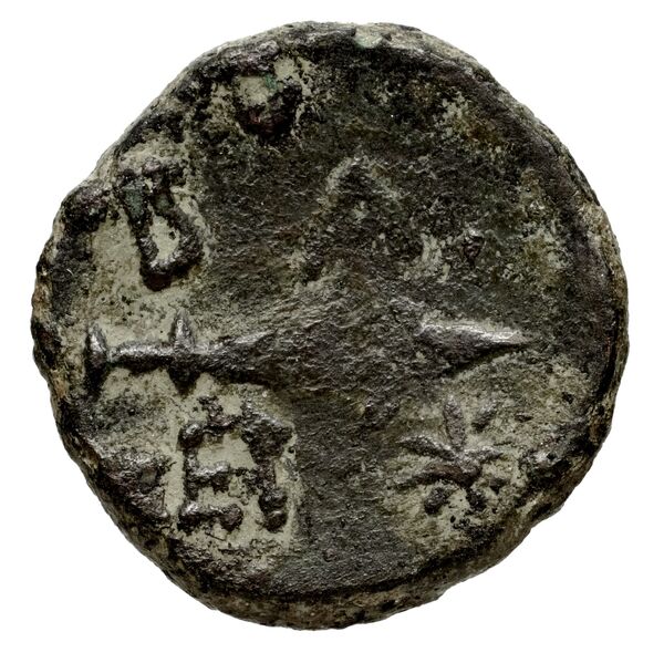 Tralles BMC Tralles 69-70, реверс, bnf-iris